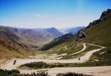 Life gives you lemons By Emma Young