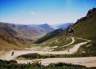 Life gives you lemons By Emma Young