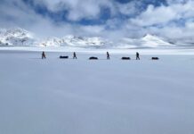 How Do You Train to Ski Across Greenland? – By Jon Fearne