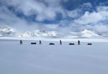 How Do You Train to Ski Across Greenland? – By Jon Fearne